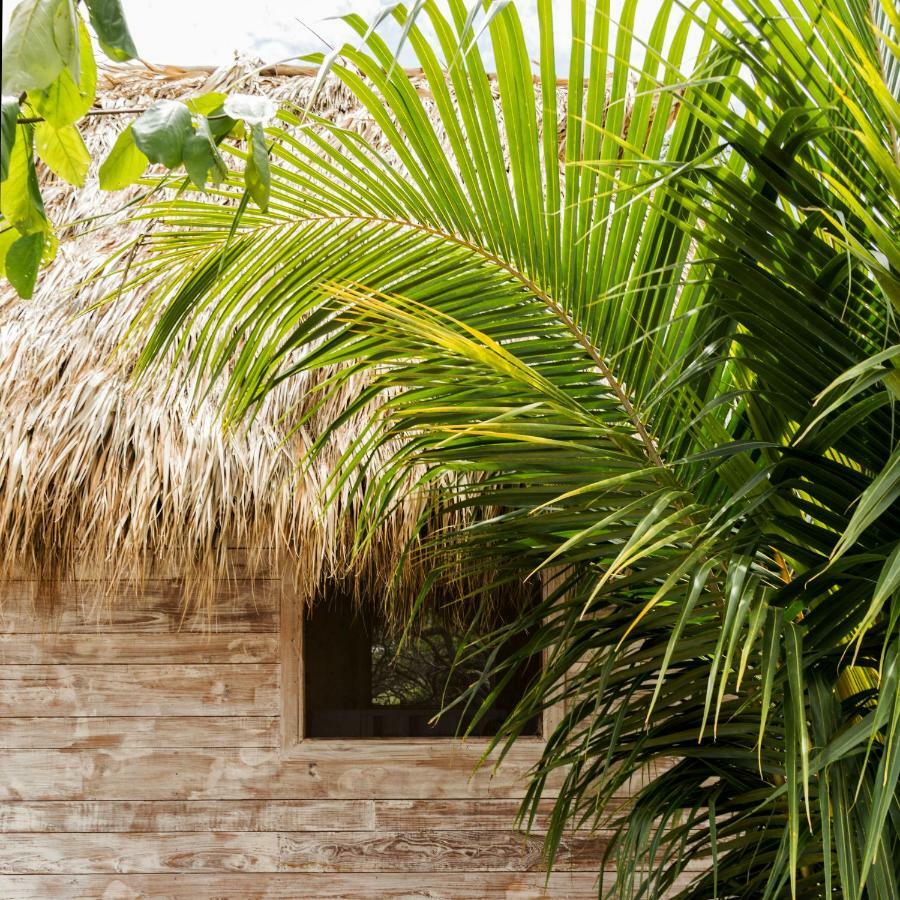 Suyo Cabanas Popoyo | Hotel Suyo Эль-Лимон Экстерьер фото